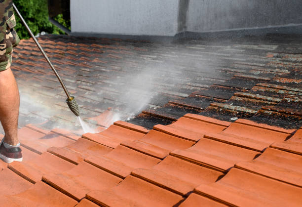 Best Pressure Washing Company Near Me  in Chaparral, NM