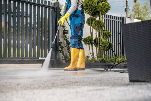 Best Roof Pressure Washing  in Chaparral, NM