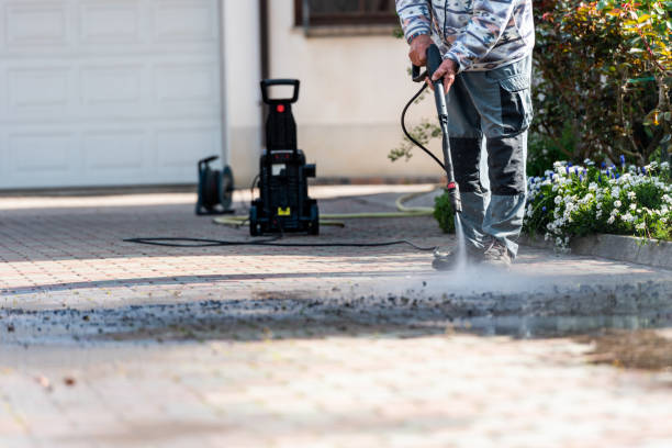 Best Power Washing Near Me  in Chaparral, NM