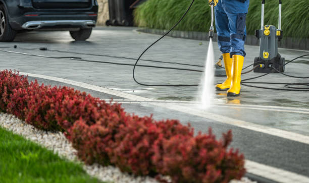 Professional Pressure Washing in Chaparral, NM