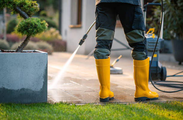 Best House Pressure Washing  in Chaparral, NM